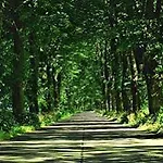 Parkhotel Am Glienberg By Fairway Zinnowitz